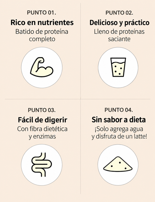 FLYMEAL | Batido de Proteína Coreano